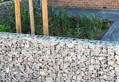 固液分离专家